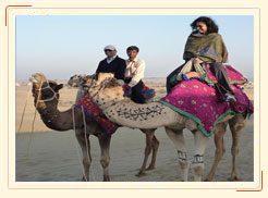 Camel safari rajasthan