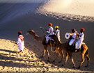 Camel safari in Rajasthan