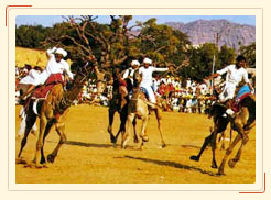 Pushkar Fair - Pushkar 